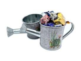 Regadera Cactus Mini/ Surtido Vasquitos y Nesquitas