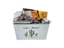 Cesta Metal Cactus / Especialidades Goya